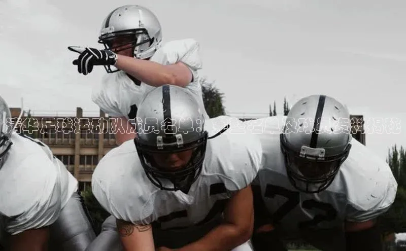 MK体育APP下载地址同程清华足球运动队成员名单：完整名单及球员资料揭秘