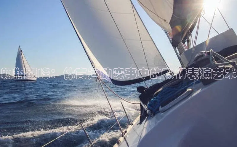 mk·体育官方网站百度取证翱翔巅峰：体育运动赛事中的飞行表演艺术