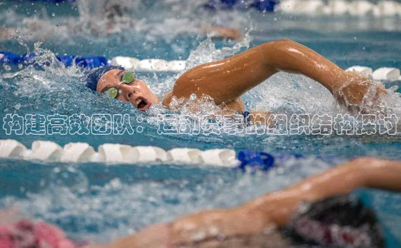 构建高效团队：运动赛事的组织结构探讨