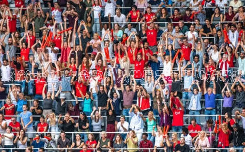 水球运动赛事全览：从世界冠军到地方联赛