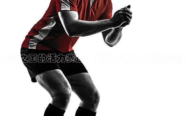 天府之国的活力赛道：成都各区特色运动赛事