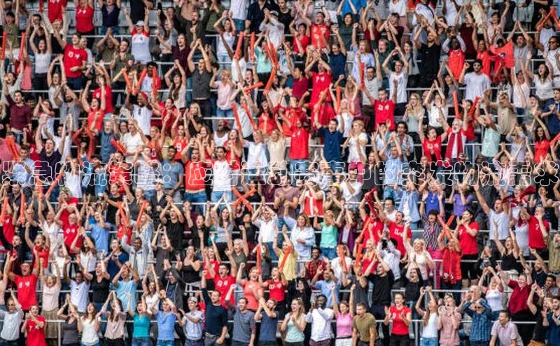 紧急物流策略：应对运动赛事中的突发物流需求