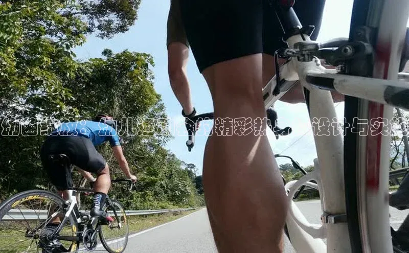 幼苗绽放：幼儿运动会的精彩热身操设计与实施