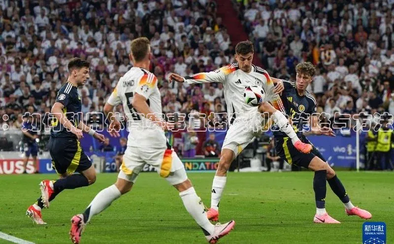 ：如何利用体育赛事直播获利的策略与方法