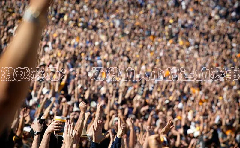 激越赛场：一场激动人心的运动赛事