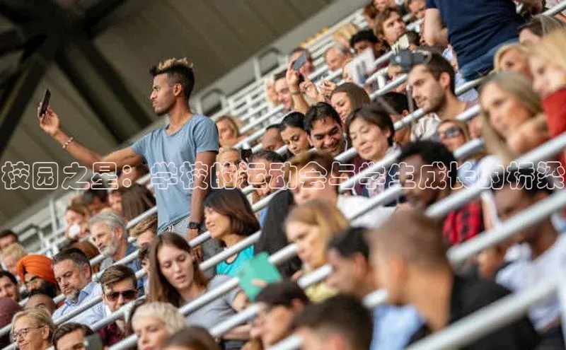 校园之星：学校的运动会与学生成长的桥梁