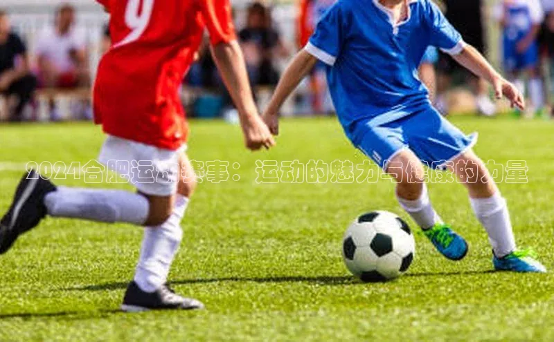 2024合肥运动赛事：运动的魅力与健康的力量