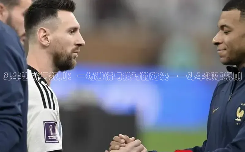 斗牛艺术与规则：一场激情与技巧的对决——斗牛赛事规则