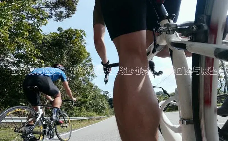 MK体育官方网站入口