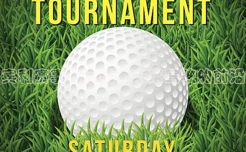 Mksport体育app官网入口