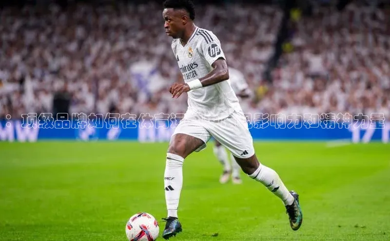 MKsport官网下载入口