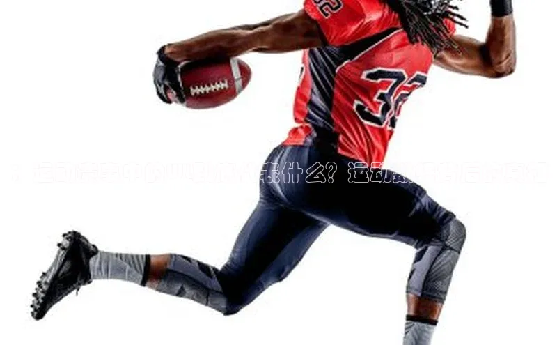 MK体育官方网站入口