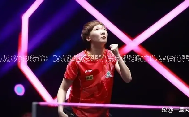 MK体育APP下载地址