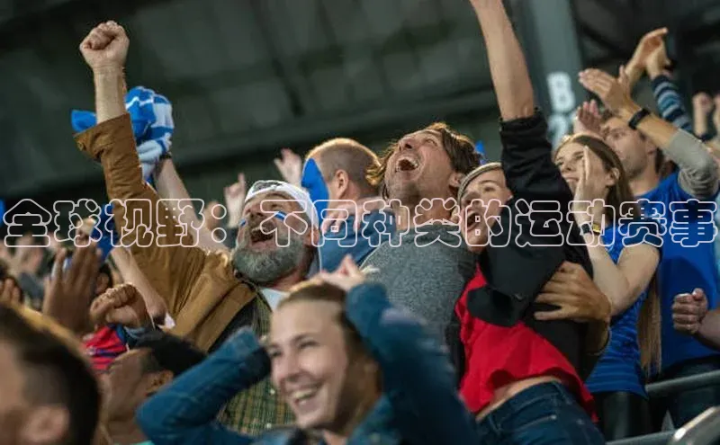 MK体育平台网页版入口